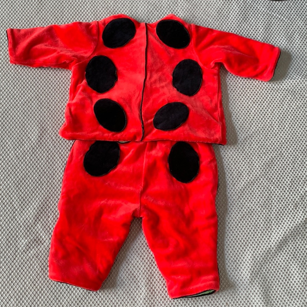 Anne Geddes Baby Ladybug Matching Set